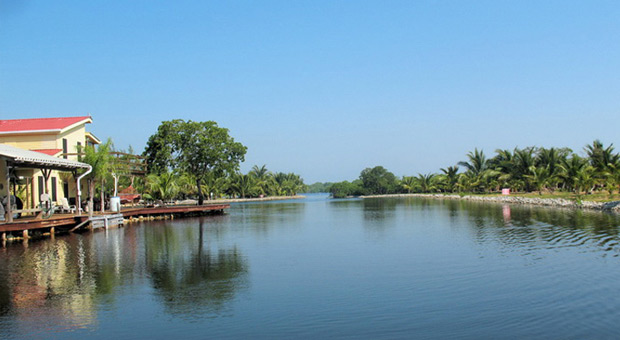 Coconut lagoon